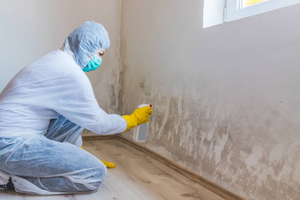 Licensed Commercial Mold Remediation service in Anna, TX - WQB Mold Removal