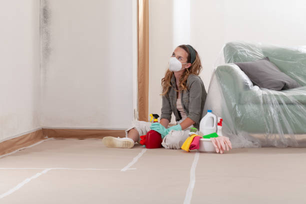 Reliable Commercial Mold Remediation contractor in Anna, TX by WQB Mold Removal
