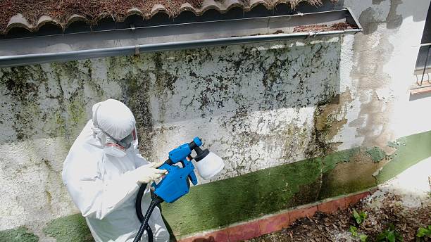 Top rated local Commercial Mold Remediation specialists in Anna, TX